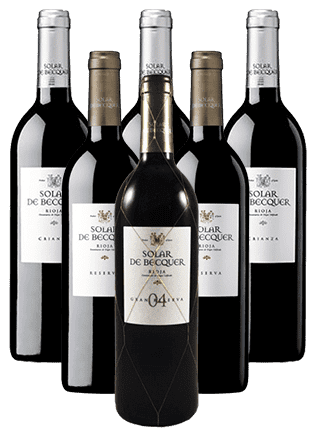 Escudero Solar de Becquer Rioja Tintos 6er Weinpaket