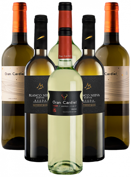 Rueda Blancos Probierpaket Weißwein Spanien 6er Angebot