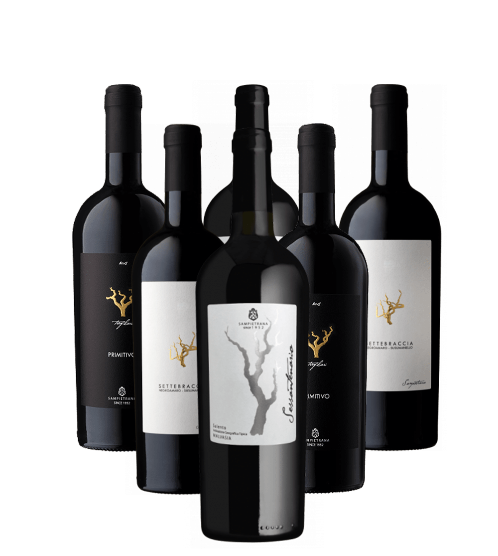6er Rotwein Probierpaket Salento Sampietrana Angebot