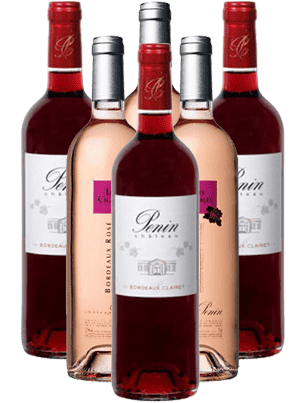 Chateau Penin Rosé trocken Bordeaux Frankreich 6er Angebot