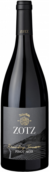 Julius Zotz Terrassen Pinot Noir trocken Römerberg QbA Baden