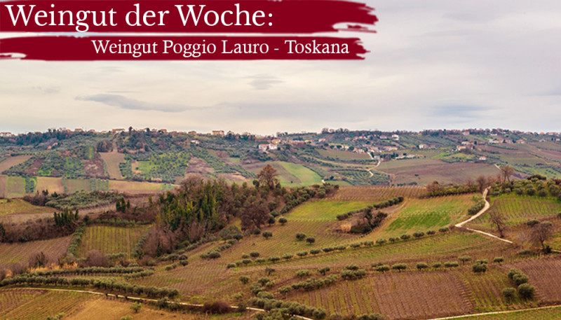 Weingut der Woche: Poggio Lauro - Toskana 