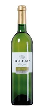 Coloma Muscat Blanco Extremadura Spanien