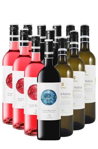 Ochoa Calendas Weine Navarra Spanien 12er Angebot
