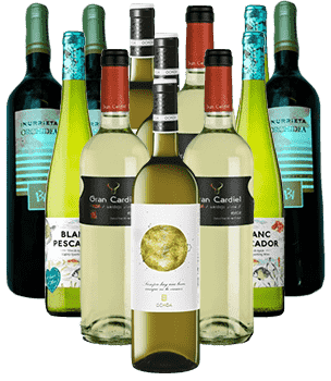 Vino Blanco Probierpaket Weißwein Spanien 12er Angebot