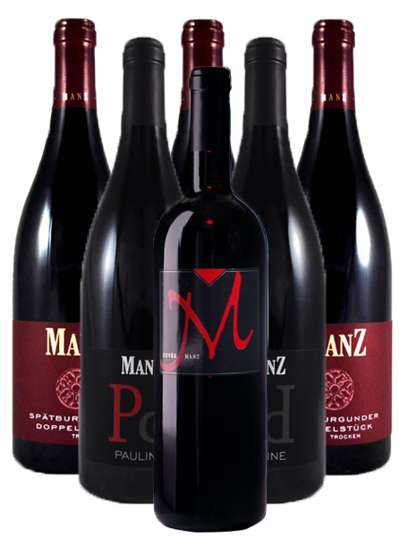 Manz Rotwein Probierpaket trocken Rheinhessen 6er Angebot
