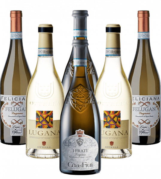Lugana Bianco Probierpaket Weißwein Italien 6er Angebot