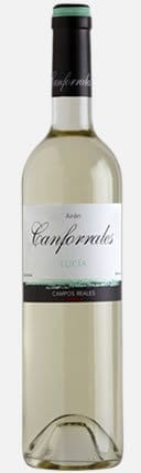 Canforrales Lucia Blanco Airen Wein Campos Reales Spanien