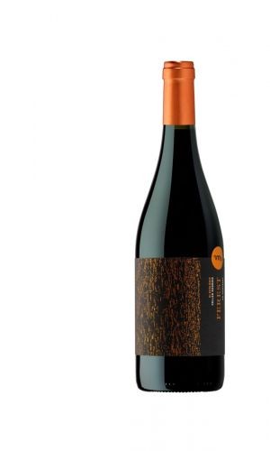 Celler Masroig Ferest Ecologico Tinto Montsant Spanien