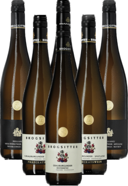 Brogsitter Grauburgunder Probierpaket Weißwein 6er Angebot