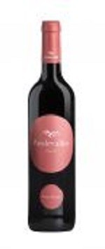 Pardevalles Tinto Prieto Picudo Rotwein Tierra de Leon Spanien