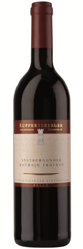 Ruppertsberger Spätburgunder Rotwein trocken Linsenbusch Pfalz