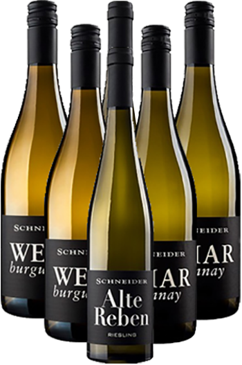 Markus Schneider Weißwein Probierpaket Pfalz 6er Angebot