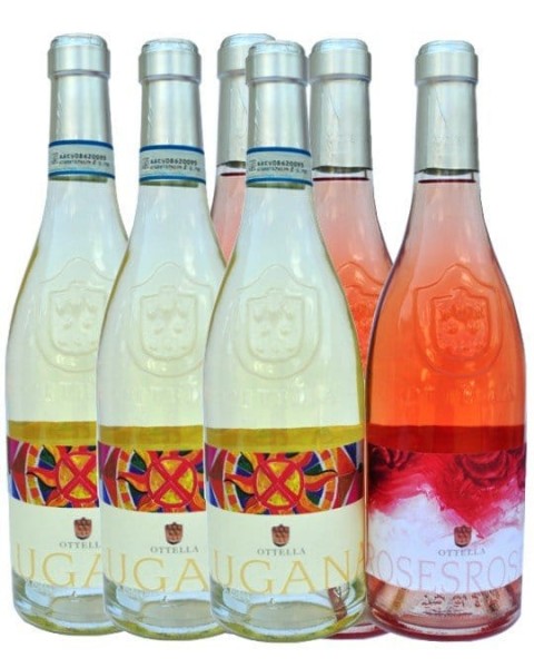 Ottella Lugana Weine Gardasee Italien 6er Angebot