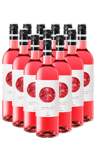 Ochoa Calendas Rosado Navarra Spanien 12er Angebot