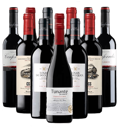 Tempranillo Rotwein Probierpaket Spanien 12er Angebot