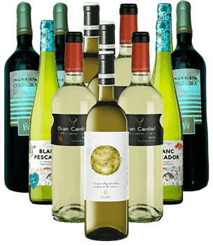 Vino Blanco Probierpaket Weißwein Spanien