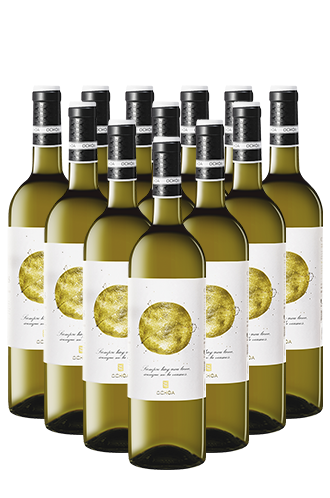 Ochoa Calendas Blanco Navarra Spanien 12er Angebot