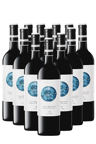 Ochoa Calendas Tinto Navarra 12er Angebot