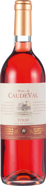 Caude Val Syrah Rosé IGP Paul Mas Frankreich