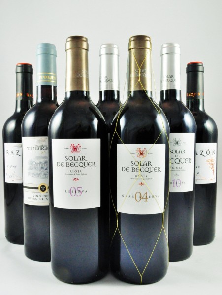 Escudero Tintos de Bodega Rioja Spanien 12er Angebot