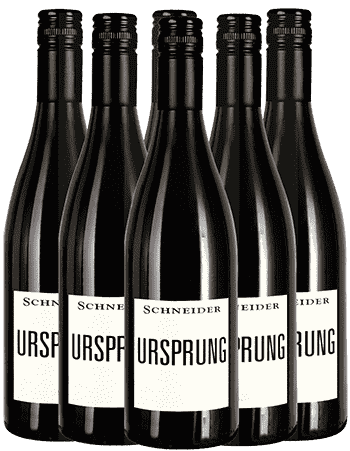 Markus Schneider Ursprung Rotwein Cuvee Pfalz 5+1 Angebot