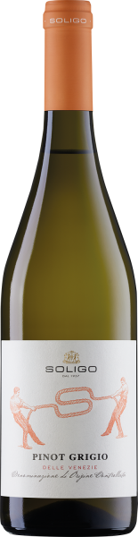 Soligo Pinot Grigio Bianco Delle Venezie DOC 2025 Italien