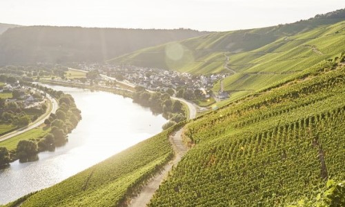 Weingut Anker