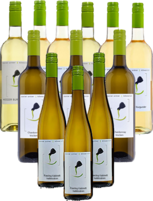 Daniel Anker Weißwein Probierpaket aus Köwerich 12er Angebot Mosel