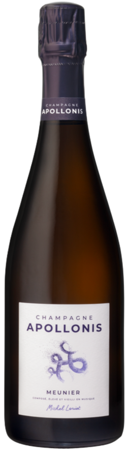 Apollonis Champagner Authentic Meunier Brut AOC Loriot Frankreich
