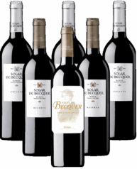 Escudero Solar de Becquer Rioja Tintos 6er Angebot