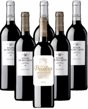 Escudero Solar de Becquer Rioja Tintos 6er Angebot