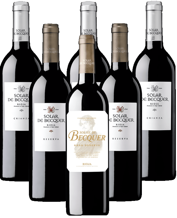 Escudero Solar de Becquer Rioja Tintos 6er Angebot