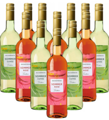 Bischoffinger Sommer Cuvee Probierpaket Kaiserstuhl 12er Angebot