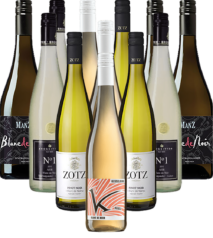 Blanc de Noir Probierpaket Weißwein Deutschland 12er Angebot