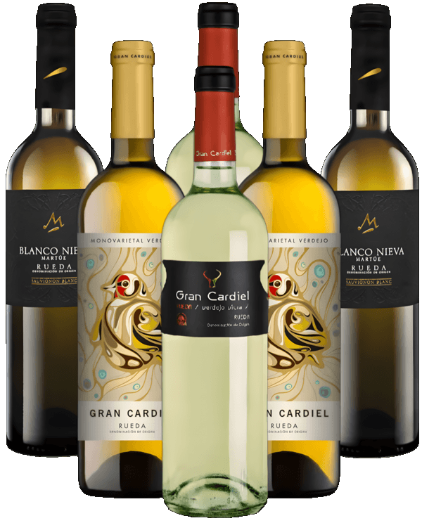 Rueda Blancos Probierpaket Weißwein Spanien 6er Angebot