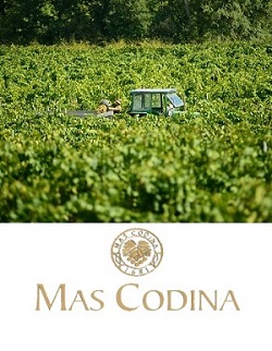 Bodega Mas Codina