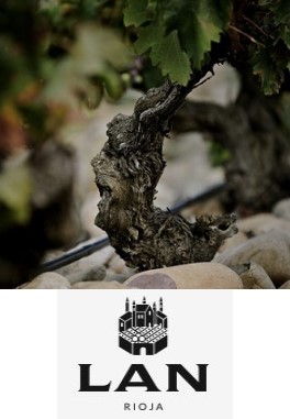 Bodegas Lan