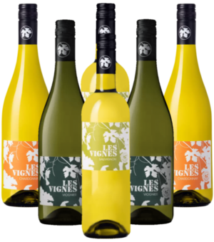 Bourdic Les Vignes Probierpaket Weißwein aus Frankreich 6er Angebot