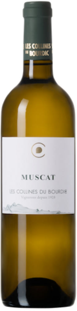 Bourdic Muscat Blanc Petit Grains IGP Languedoc 2024 Frankreich