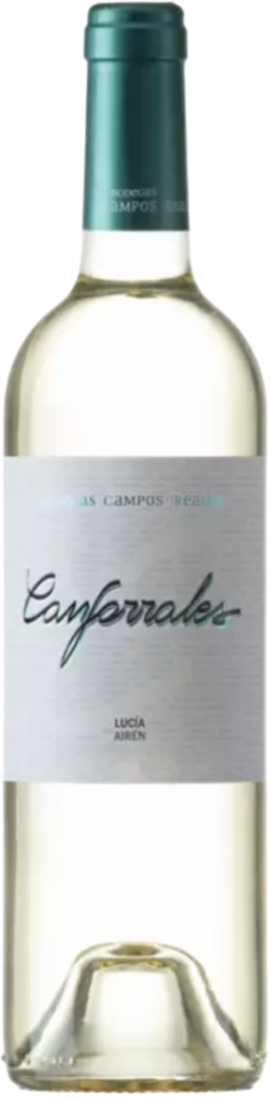 Canforrales Lucia Blanco La Mancha Campos Reales 2025 Spanien