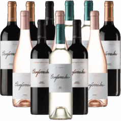 Canforrales Probierpaket La Mancha Spanien 12er Angebot