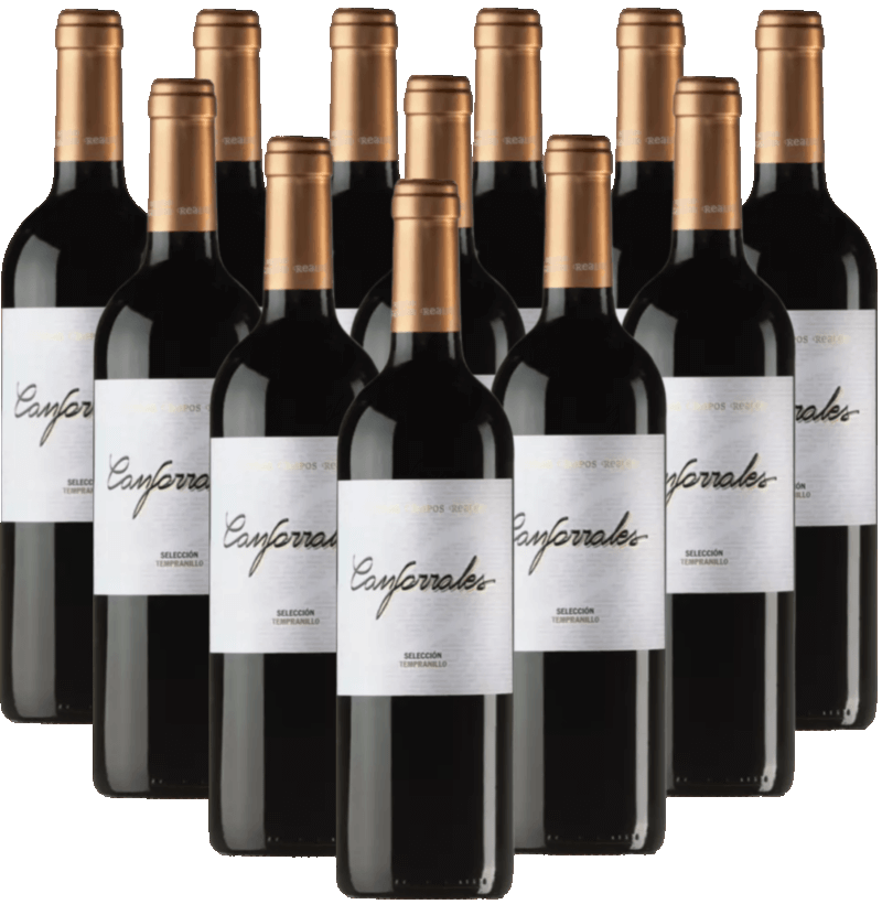 Canforrales Seleccion Tempranillo 12er Weinpaket aus La Mancha, Spanien