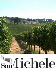 Cantina San Michele Arcangelo