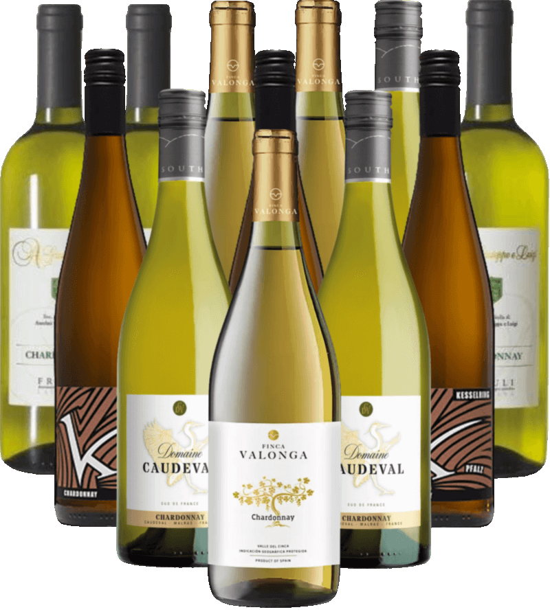 Chardonnay Probierpaket Weißwein Europa 12er Angebot