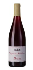 Collovray Terrier Macon Rouge Verger des Feuillants AOC 2024 Frankreich