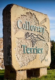 Domaine Collovray & Terrier