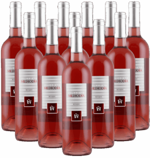 Inurrieta Mediodia Rosado Navarra Spanien 12er Angebot