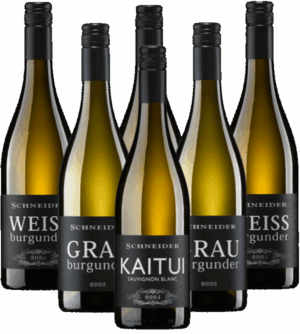 Markus Schneider Weißwein Probierpaket Pfalz 6er Angebot