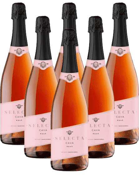 Masachs Rosé Cava Selecta Spanien 6er Angebot